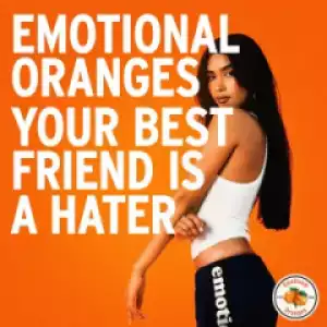 Emotional Oranges - Your Best Friend Is a Hater